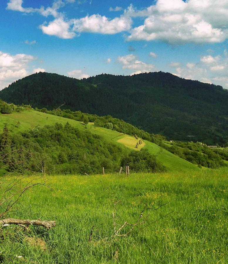 Felice Riposo * Kozevo